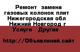 Ремонт, замена газовых колонок-плит - Нижегородская обл., Нижний Новгород г. Услуги » Другие   